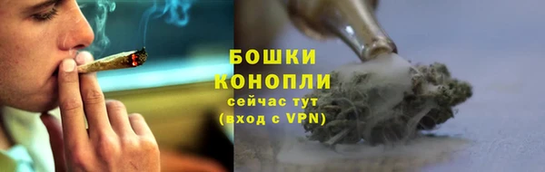 гидропоника Абаза
