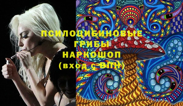 гидра Абинск