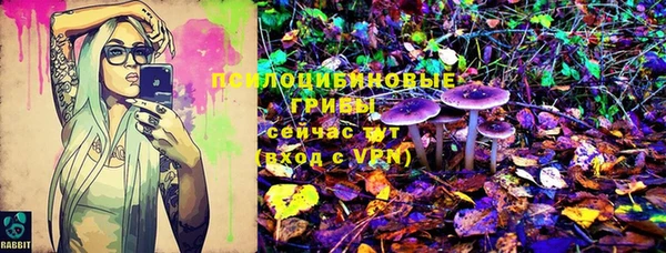 гидра Абинск